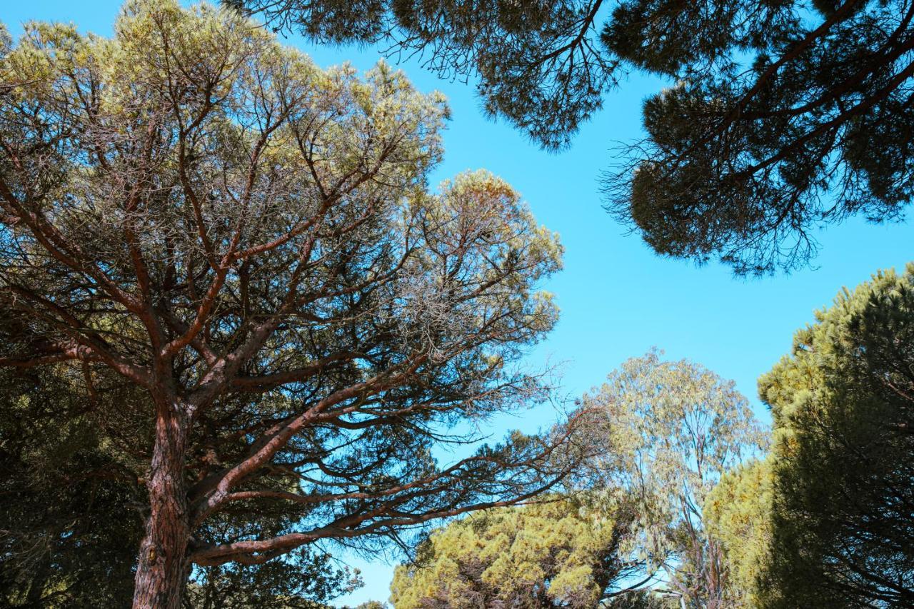 Camping Ladouceur Ramatuelle Dış mekan fotoğraf