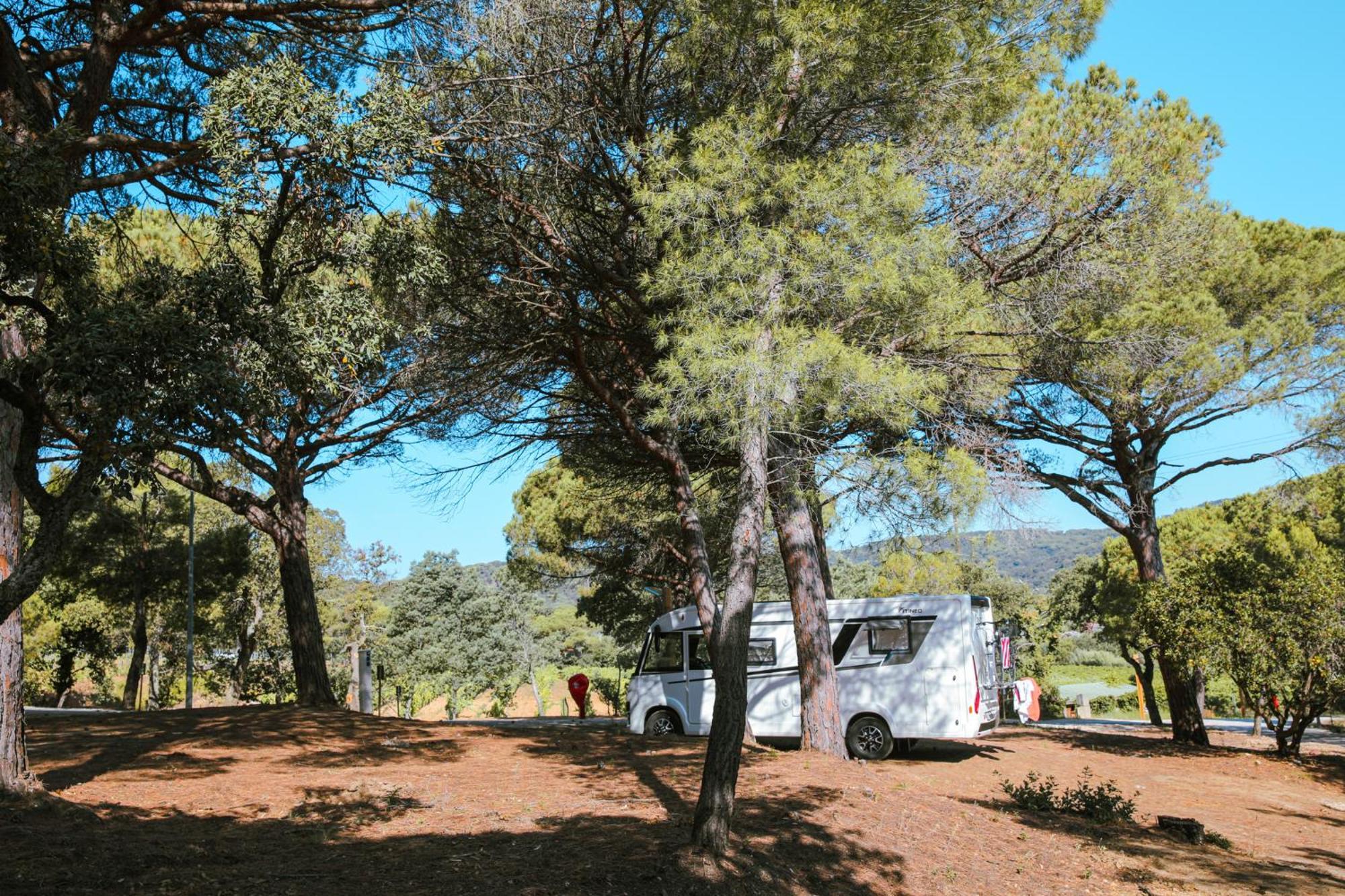 Camping Ladouceur Ramatuelle Dış mekan fotoğraf