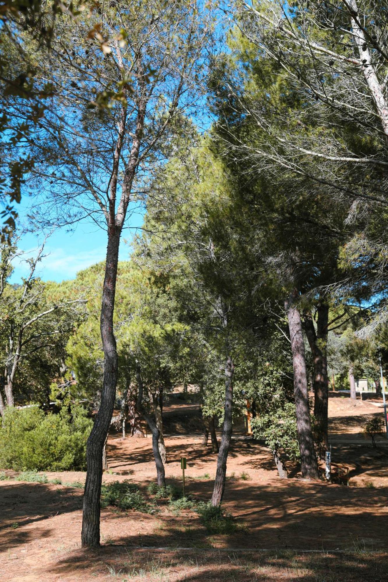 Camping Ladouceur Ramatuelle Dış mekan fotoğraf